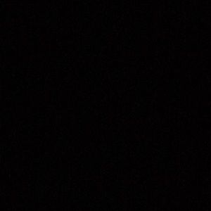 Meet your Posher, Dani